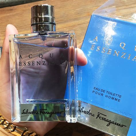 5 Colognes Similar To Versace Pour Homme [Ultimate Dupes]